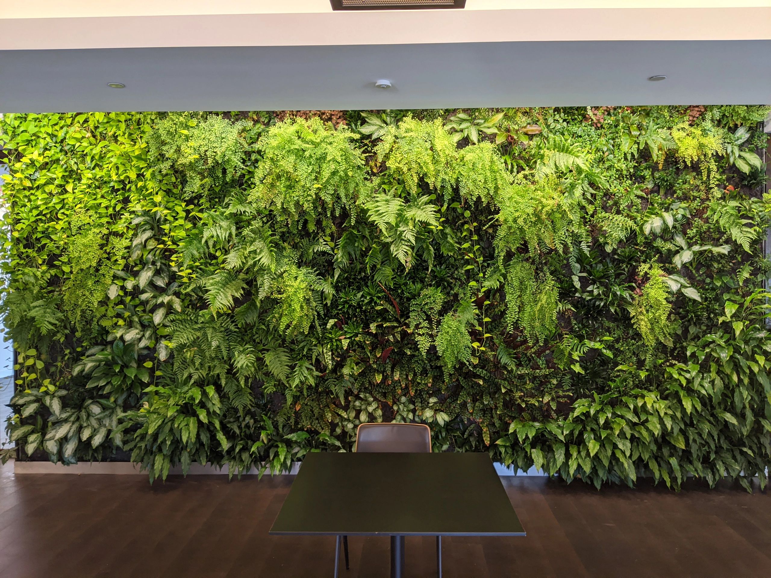 Lively Plant Systems Green Wall, Living Wall, Plant Walls